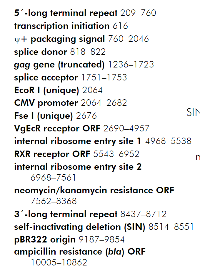 pFB-ERV 载体特征
